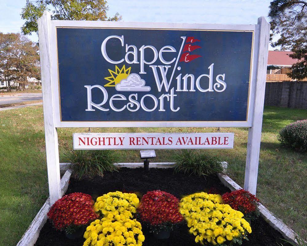 Cape Winds 3*